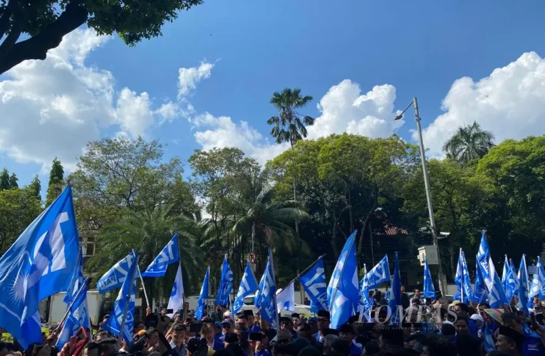 National Mandate Party: A Key Player in Indonesian Politics That Keeps Surprising Us