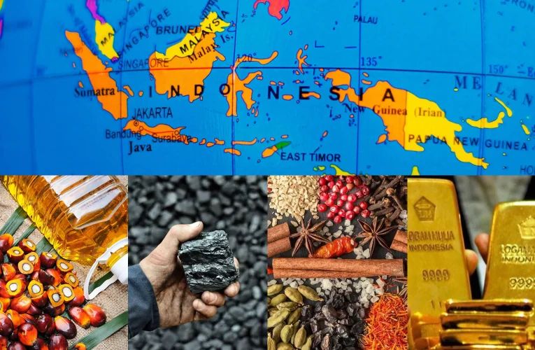 Natural Resources: Analyzing the Role of Natural Resources in Indonesian Politics—My Up-Close Experience