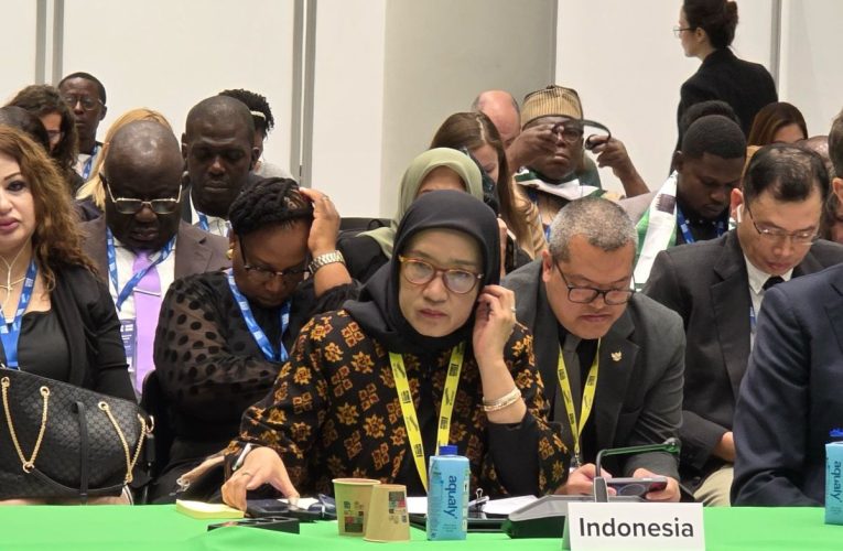 Government Digitalization: Transforming ruangwd Indonesia Public Services Through Technology and Innovation