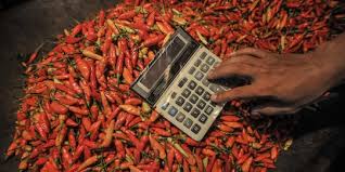 Harga Cabai