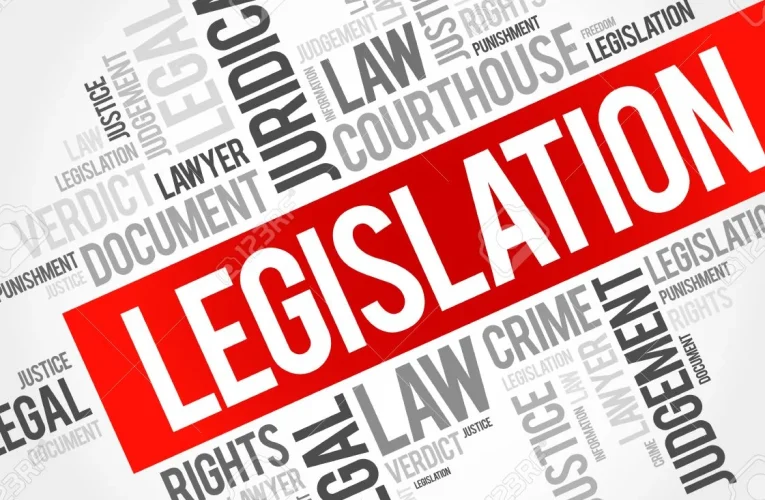 Legislation: Crafting Laws for All in Indonesia