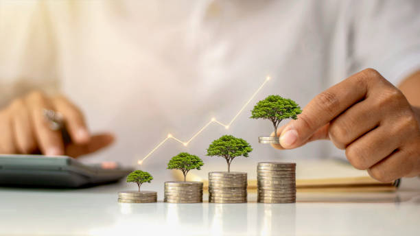 Zakat Produktif